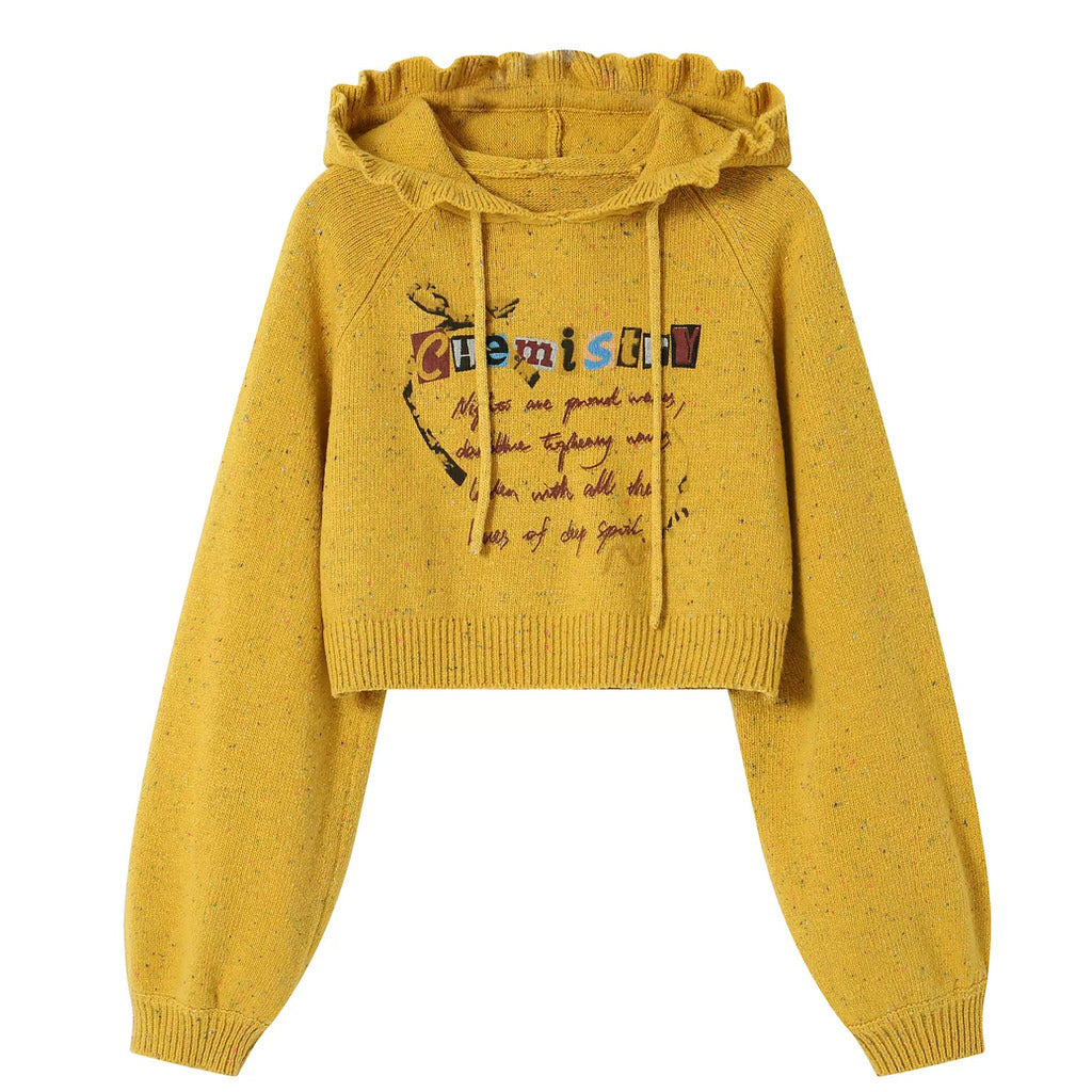Chemistry Knit Cropped Hoodie