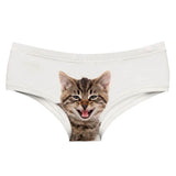 Angry Kitten Panty